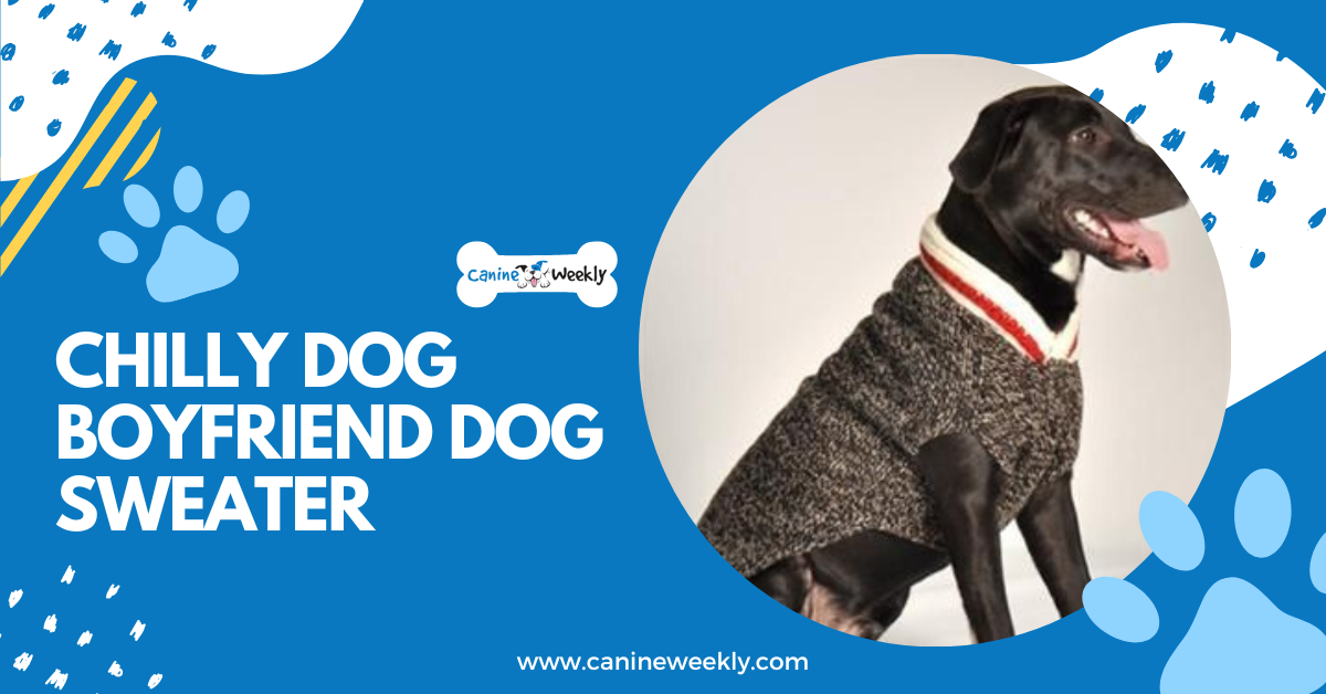 Chilly Dog Boyfriend Dog Sweater