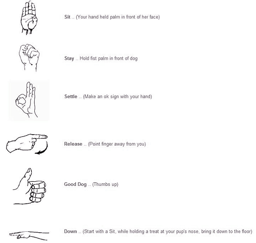 dog obedience hand signals chart