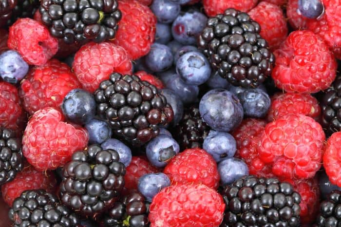 Fruits Dog Can Eat