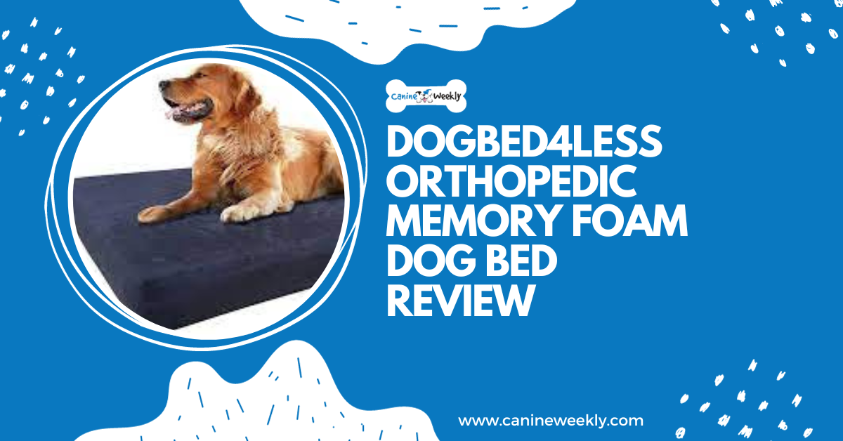 Dogbed4less orthopedic memory foam dog bed sale