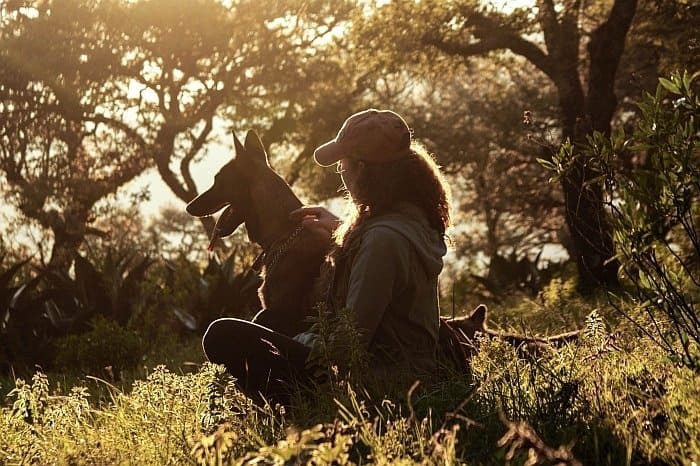 dog mental health benefits dog mental health benefits