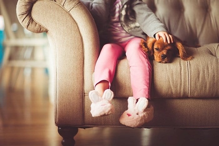 dogs are good for mental health dogs are good for mental health