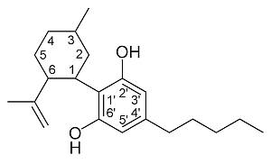 1280px-CBD-type_cannabinoid CBD Oil for Dogs