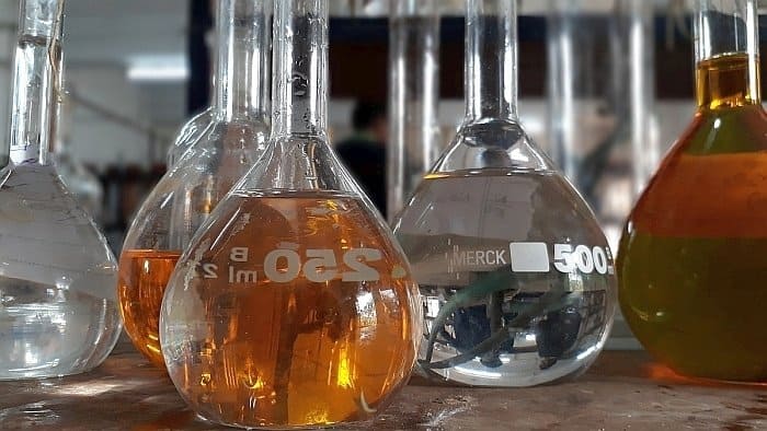 CBD oil for dogs 5 CBD oil for dogs 5