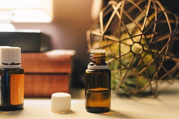 CBD oil for dogs 7 CBD oil for dogs 7