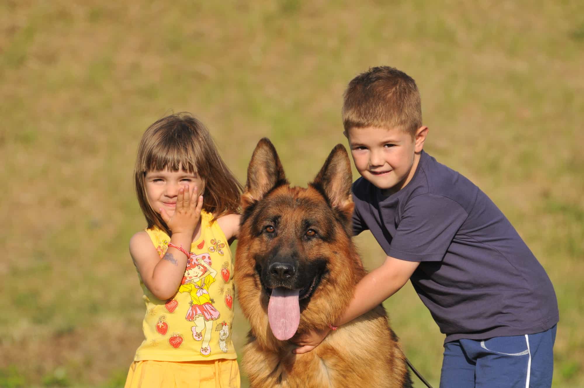 Are German Shepherds Good with Kids 