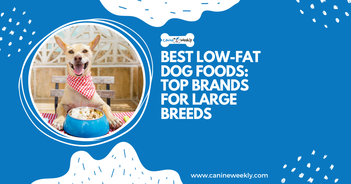 10 Best LowFat Dog Foods Large Breed of 2023 Canine Weekly