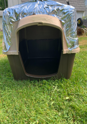 6 Best Dog Houses for Large Dogs of 2023 | Canine Weekly