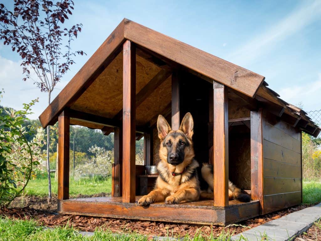 big wooden dog houses