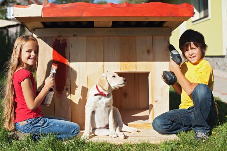 6 Best Dog Houses for Large Dogs of 2023 Canine Weekly
