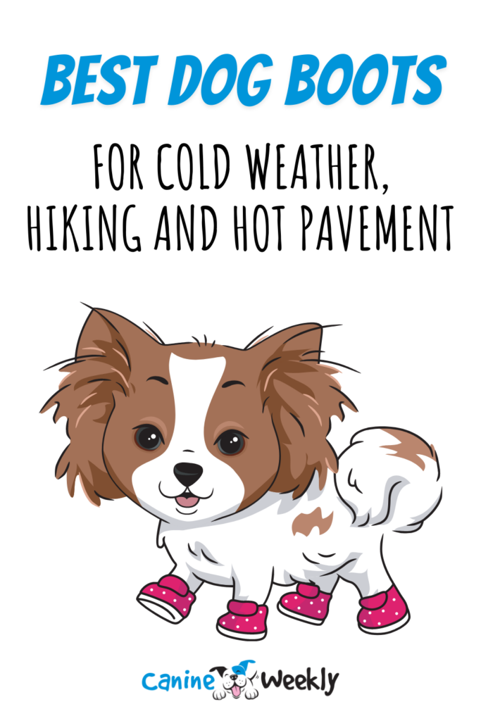 10 Best Dog Boots for Cold Weather, Hiking, and Hot Pavement