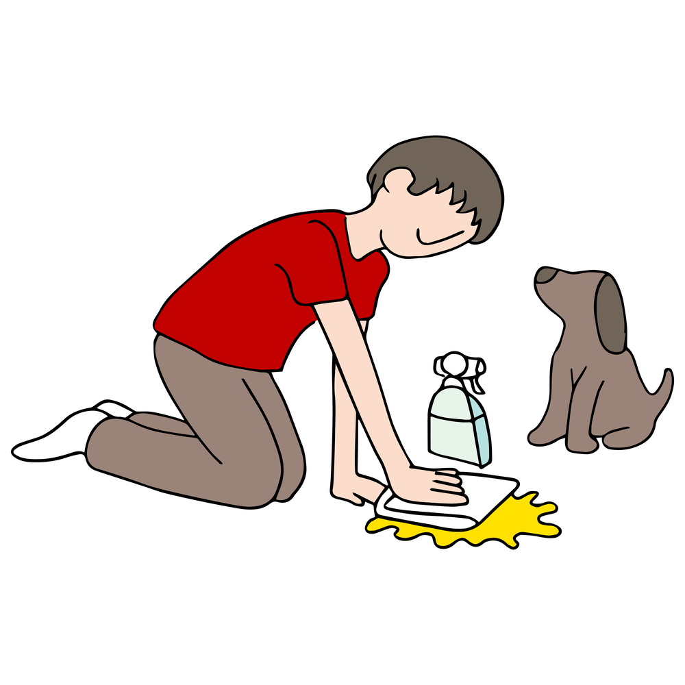 how to toilet train a puppy