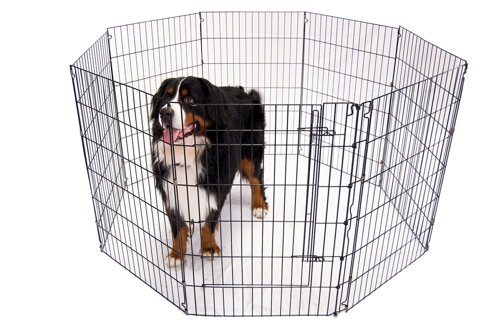 best large dog playpens