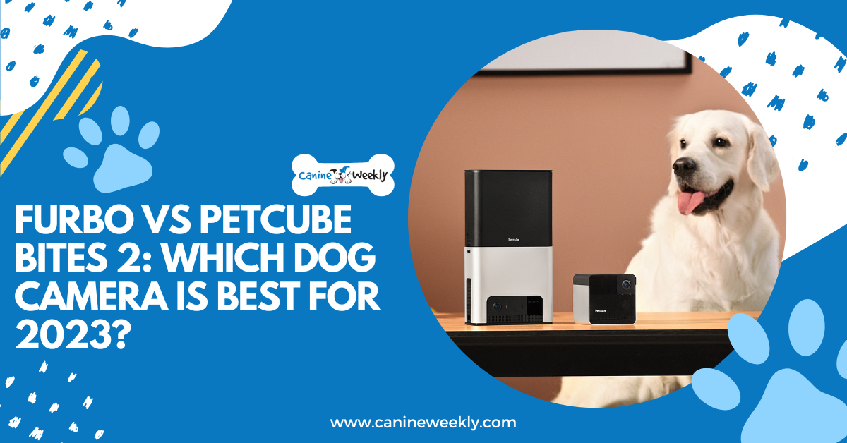 Furbo vs Petcube Bites 2 Which Dog Camera is Best for 2023?