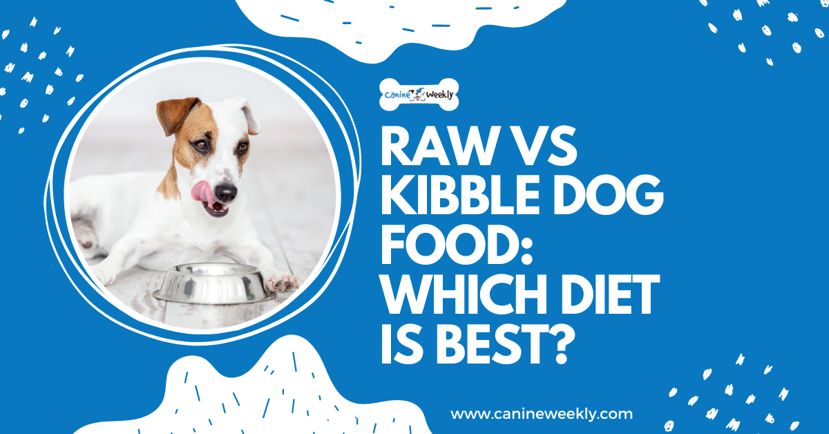 Raw vs Kibble Dog Food Which Diet is Best? Canine Weekly