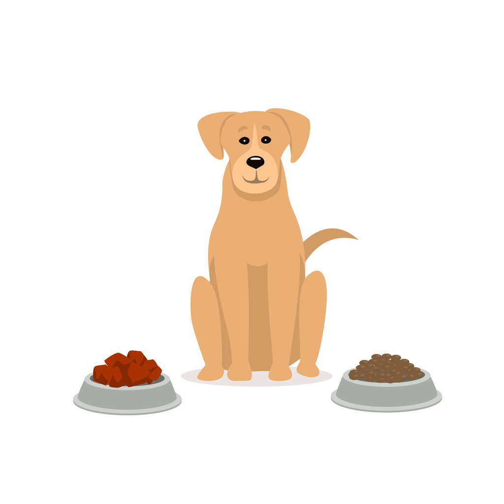 raw-vs-kibble-dog-food-which-diet-is-best-canine-weekly