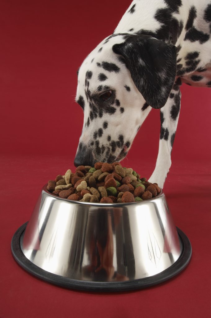 fromm-dog-food-review-how-does-it-stack-up-canine-weekly