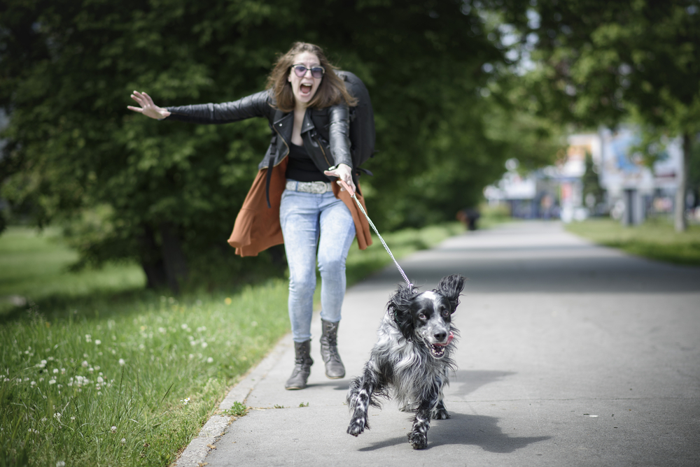 How to Stop Your Dog From Pulling on the Leash? | Canine Weekly