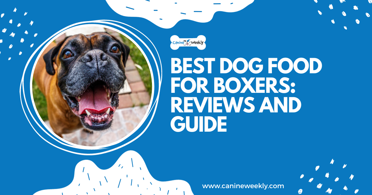 4 Best Dog Food for Boxers Reviews and Guide