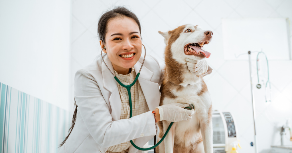 When to Go to the Vet