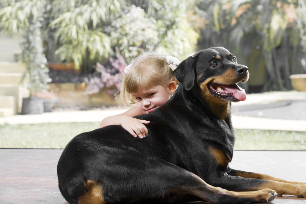 Are Rottweilers Good With Kids? The Answer May Surprise You