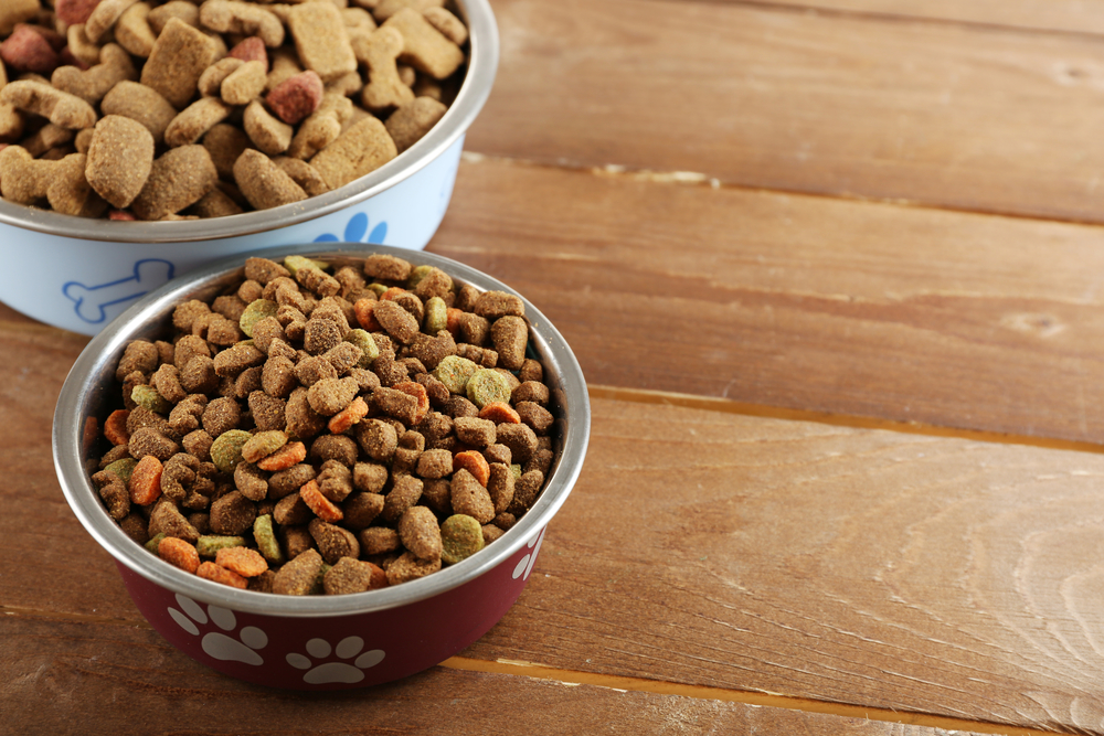 changing puppy food changing puppy food