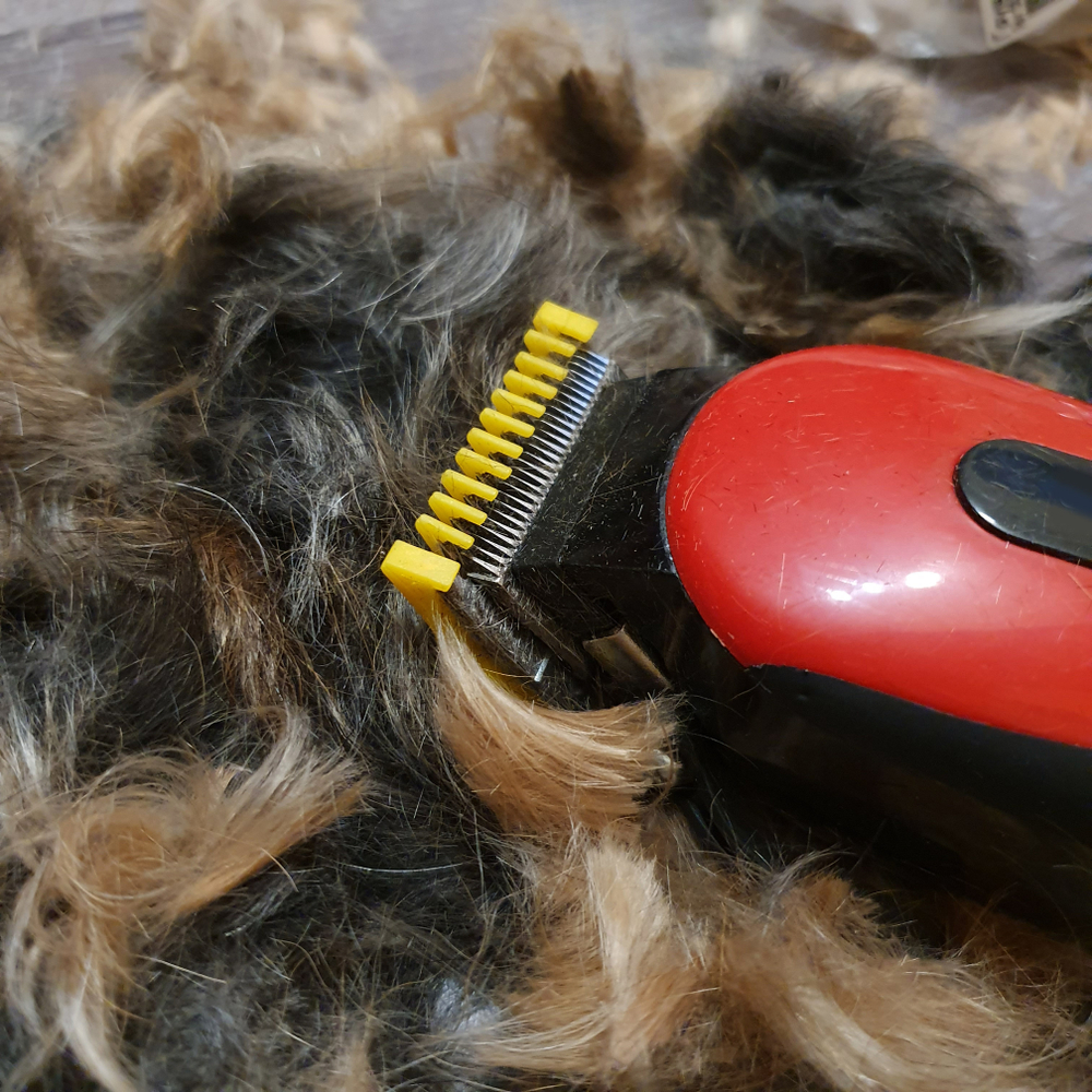 dog clippers for curly hair