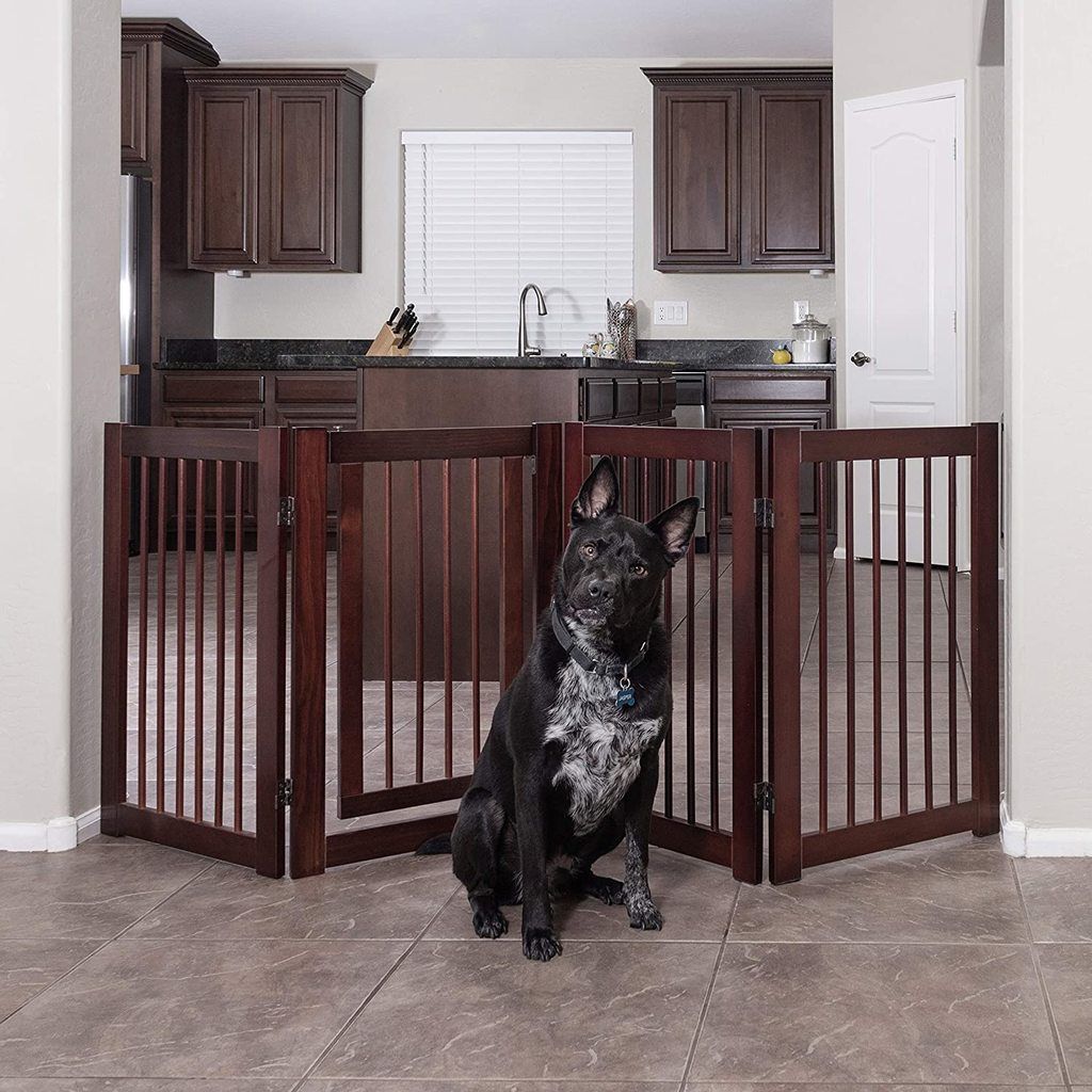 10 Best Dog Gates of 2020 Canine Weekly
