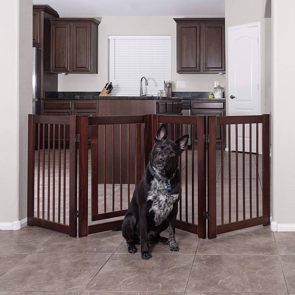 10 Best Dog Gates of 2020 Canine Weekly