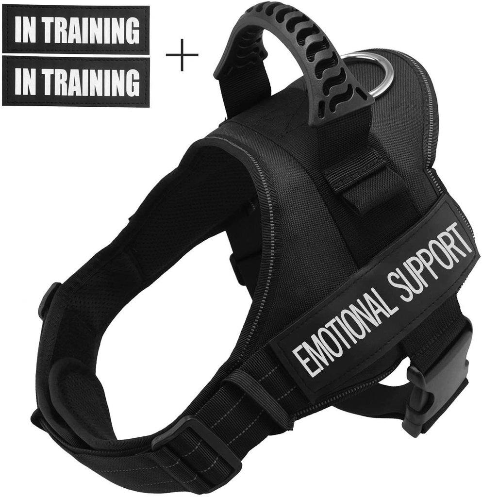 What Is the Best Service Dog Vest?