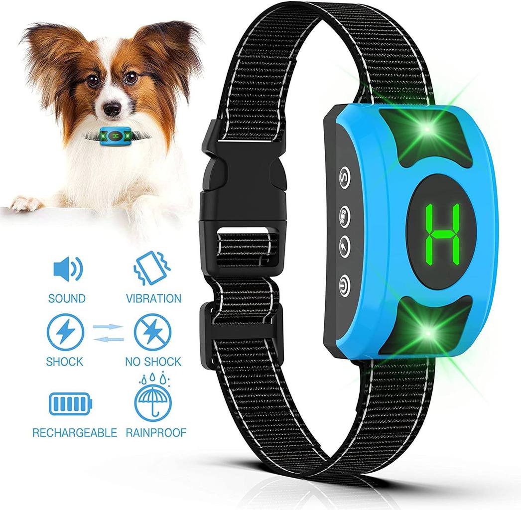 Best Dog Bark Collars for Training