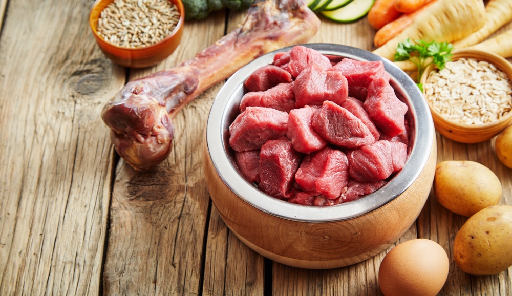 anti yeast dog food