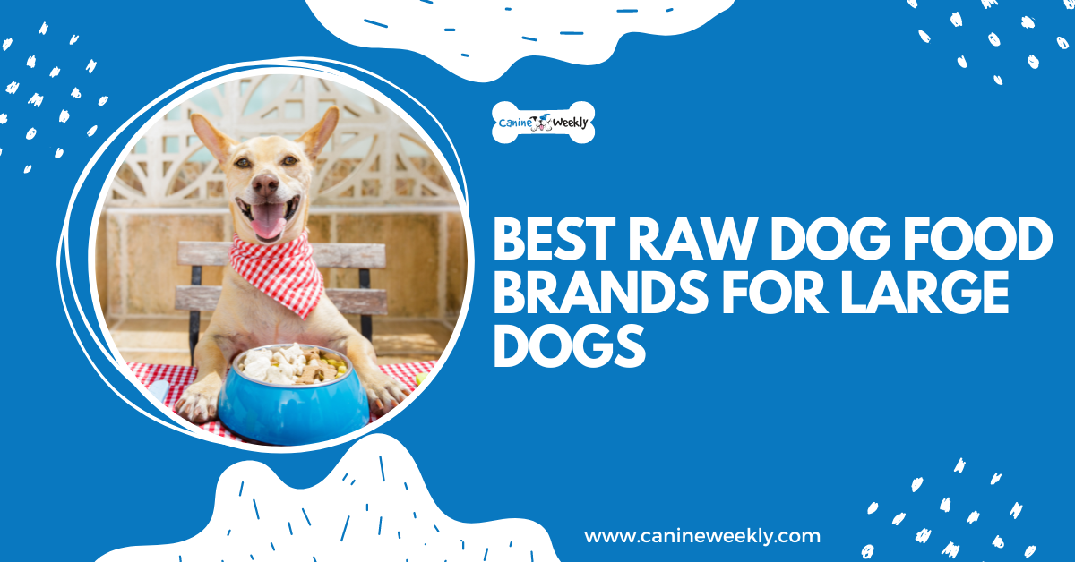 Best Raw Dog Food Brands for Large Dogs in 2023