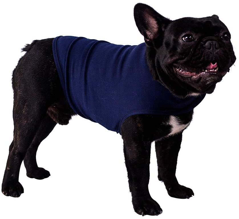 Top 10 Best Dog Anxiety Vests and When to Use Them