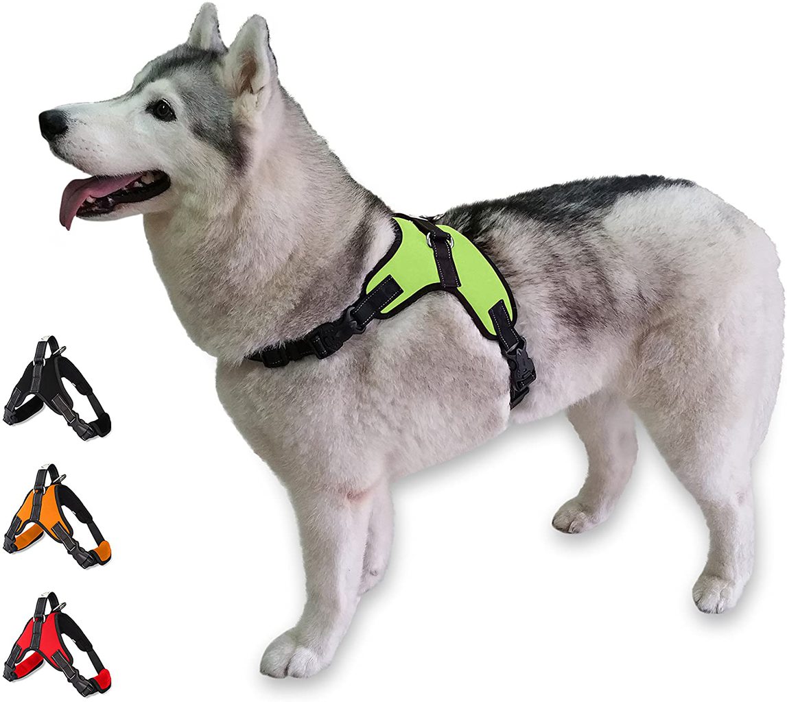10 Best Dog Car Harnesses of 2020