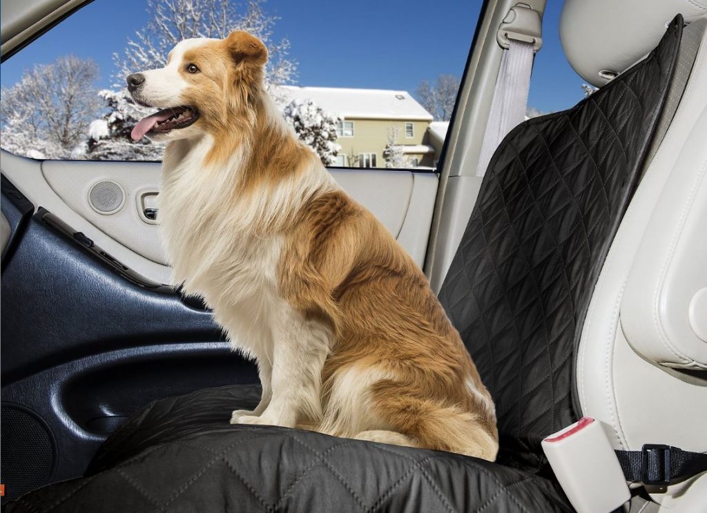 10 Best Car Seats for Large Dogs in 2020