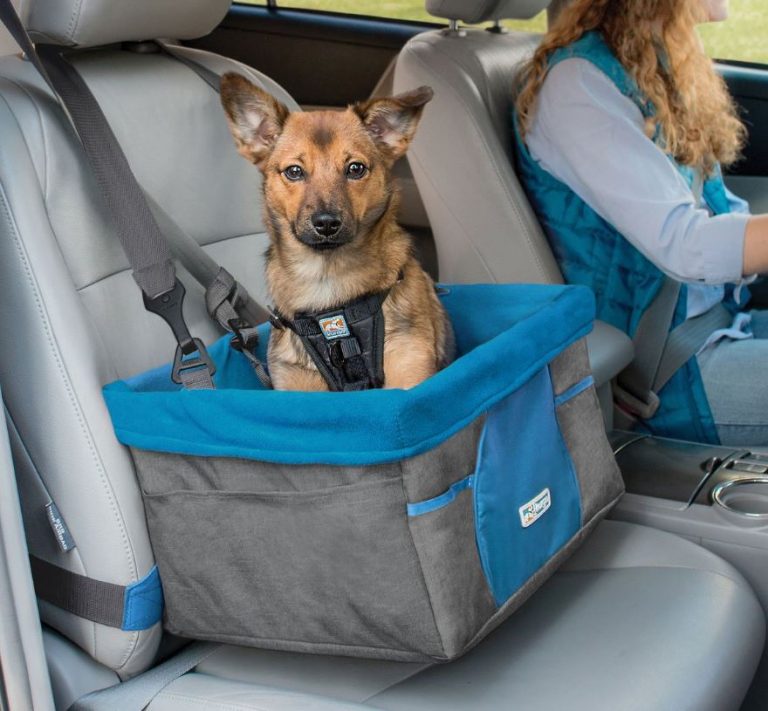 10 Best Car Seats for Large Dogs in 2020