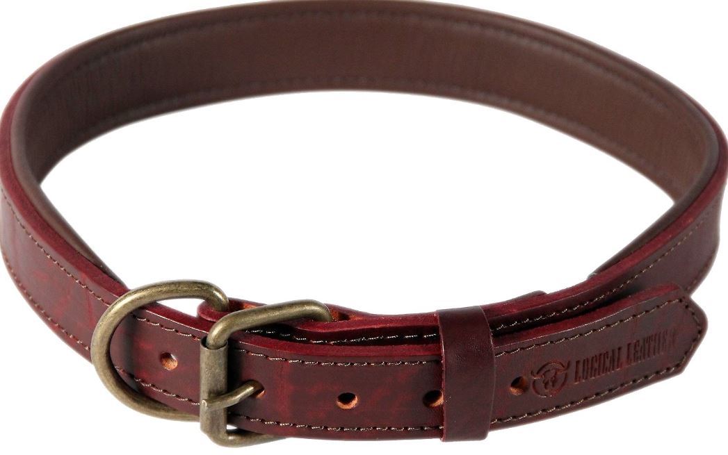 10 Best Leather Dog Collars of 2020