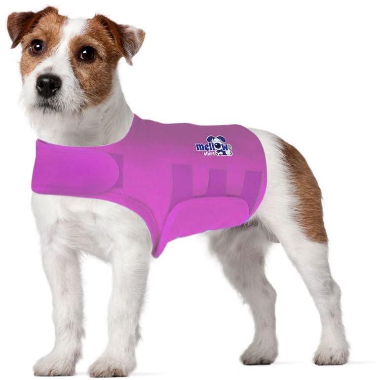 Top 10 Best Dog Anxiety Vests and When to Use Them