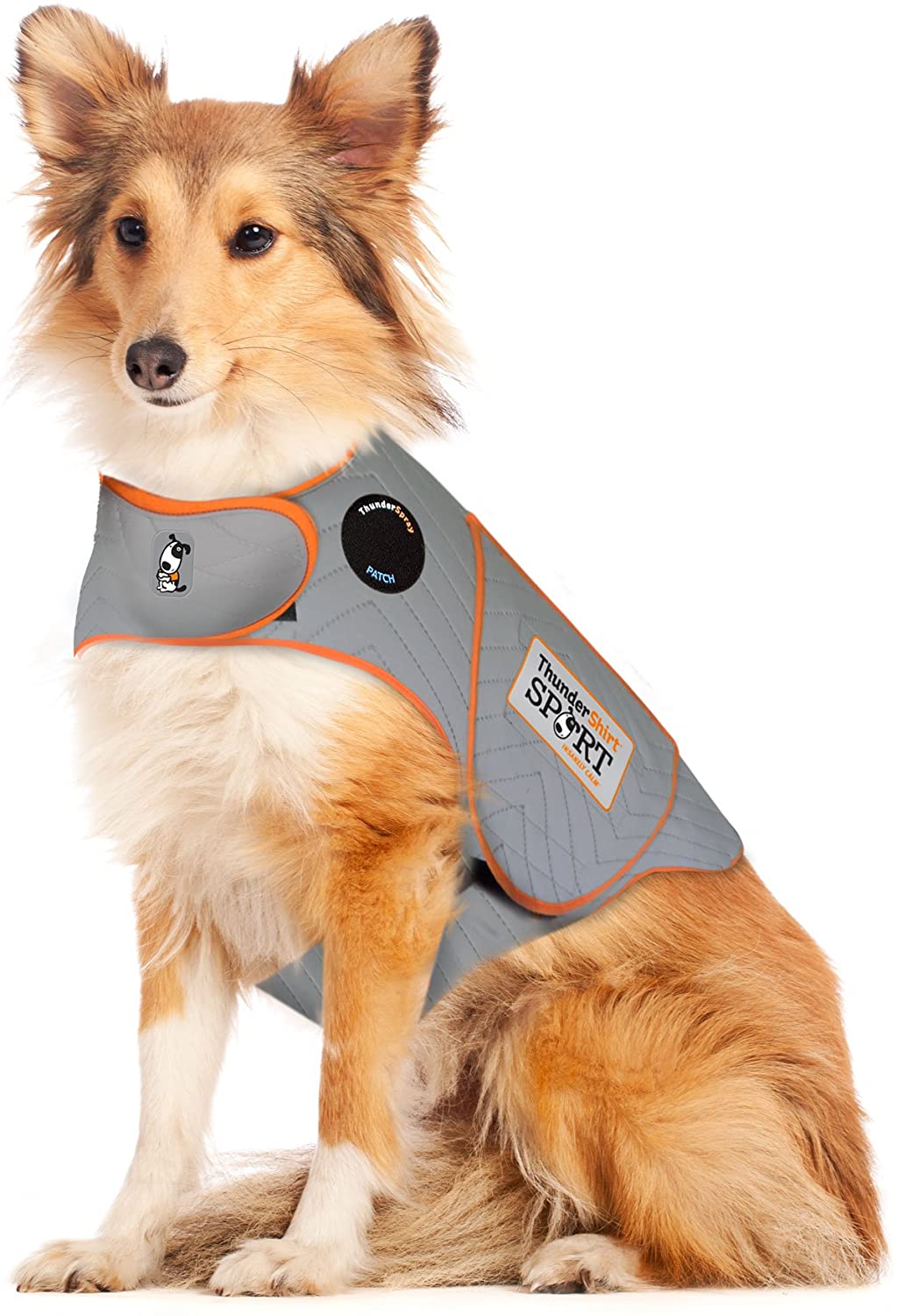 Top 10 Best Dog Anxiety Vests and When to Use Them