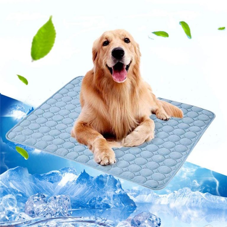 10 Best Dog Cooling Mats of 2020