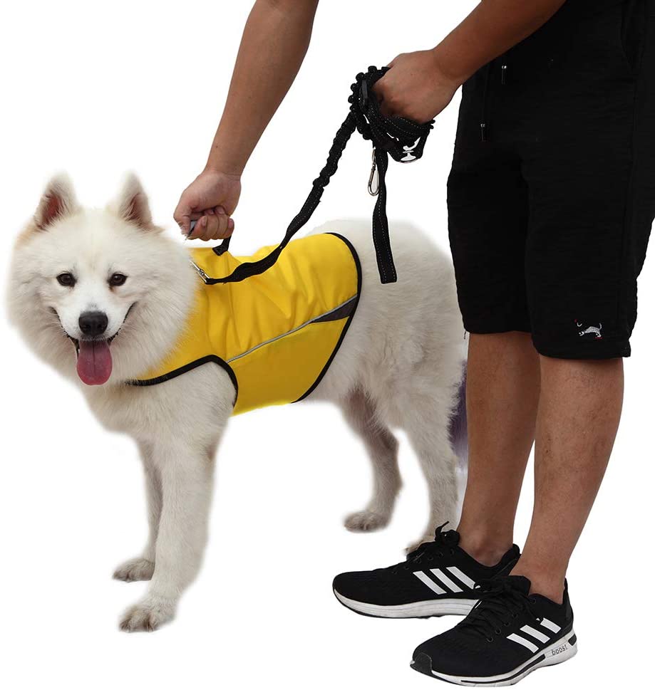 WINBATE Adjustable Dog Anxiety Jacket Keep Calming Vest 
