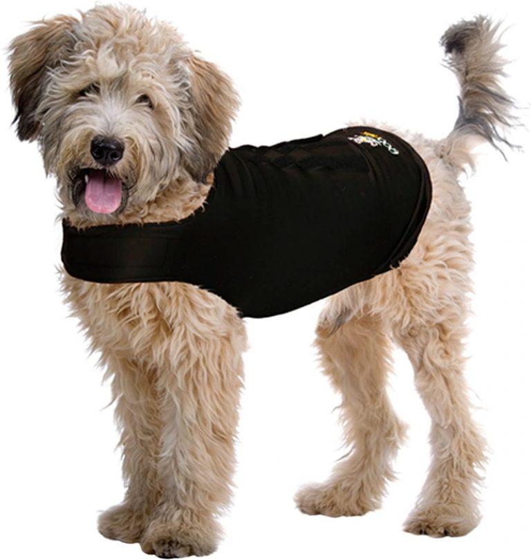 Top 10 Best Dog Anxiety Vests and When to Use Them