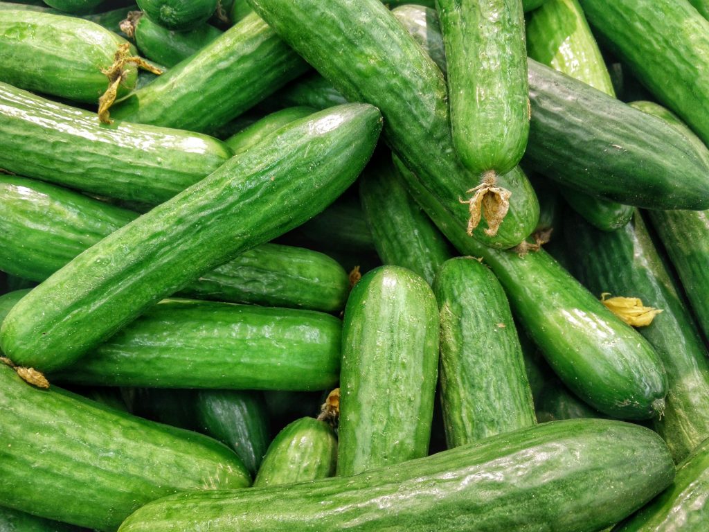 Best Human Food to Feed to Your Dogs