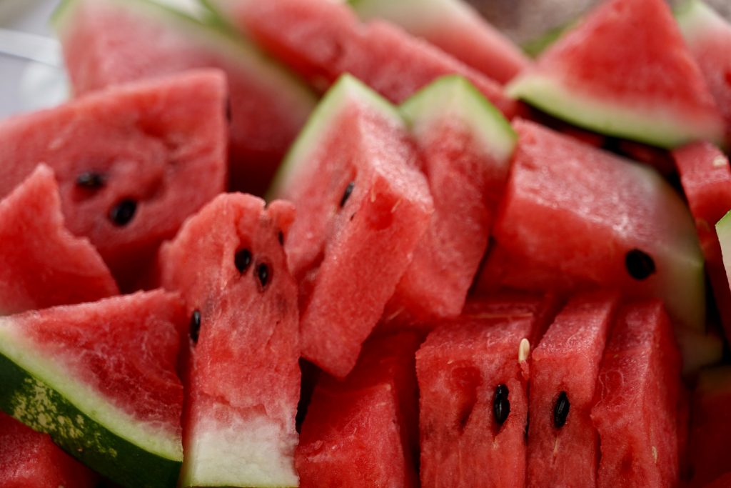 Best Human Food to Feed to Your Dogs