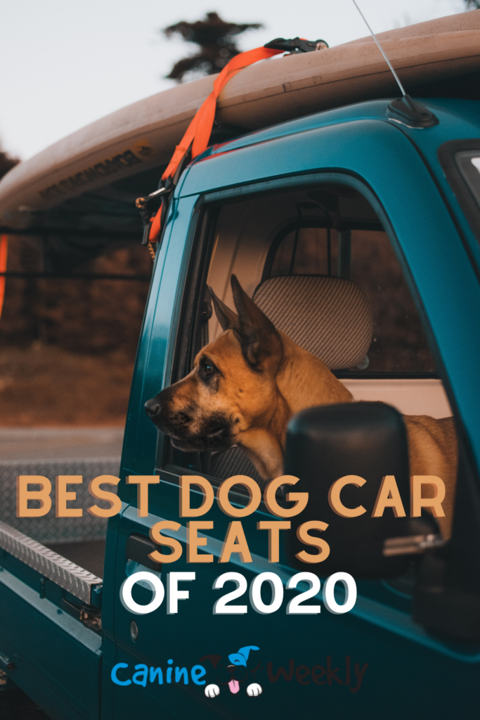 Best Dog Car Seats