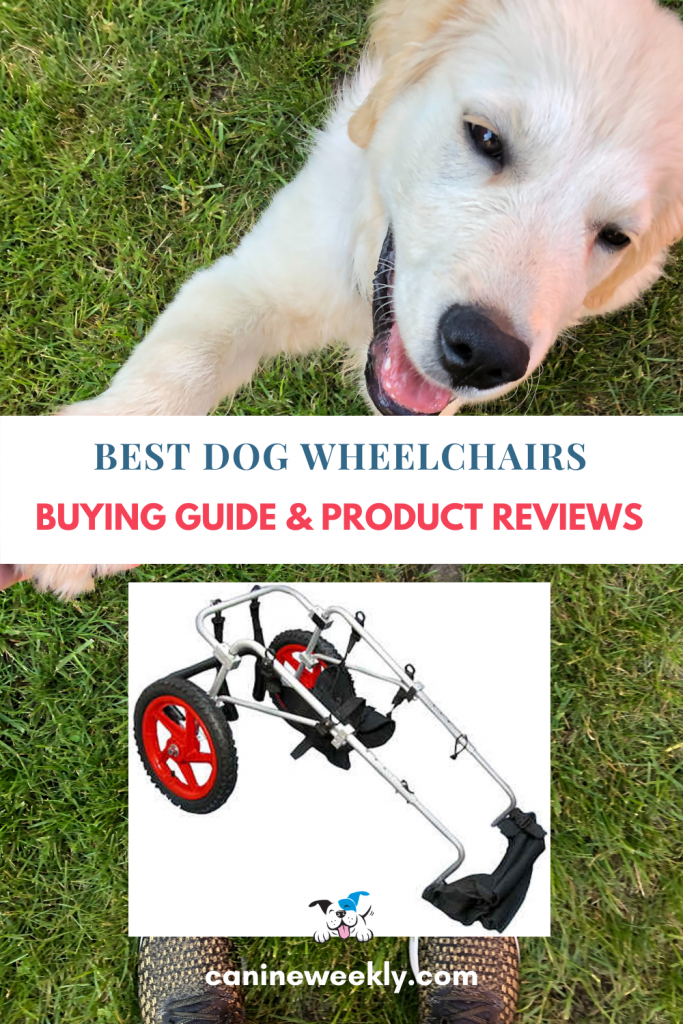 Best Dog Wheelchairs