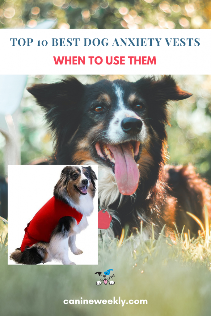 Best Dog Anxiety Vests