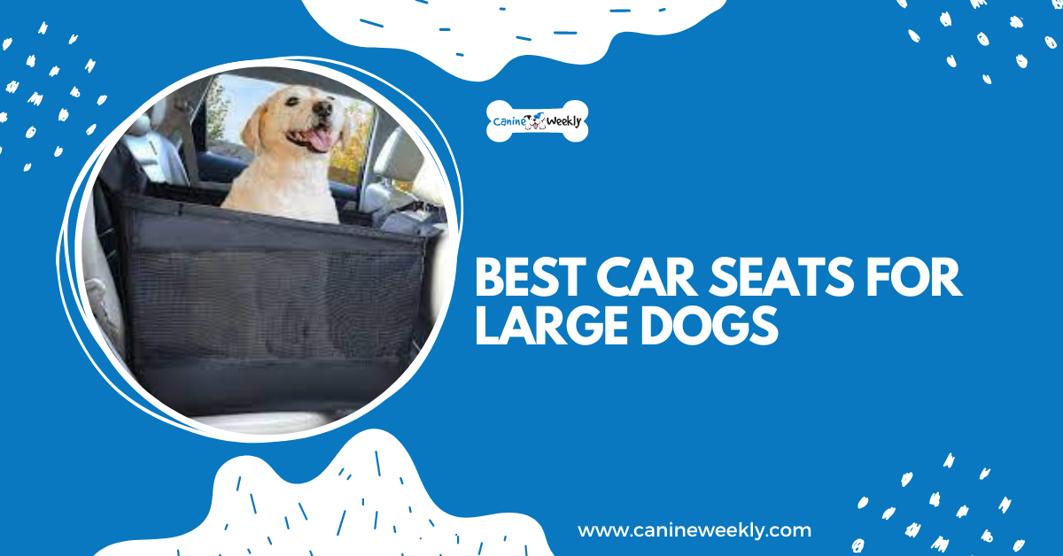 10 Best Car Seats for Large Dogs in 2023