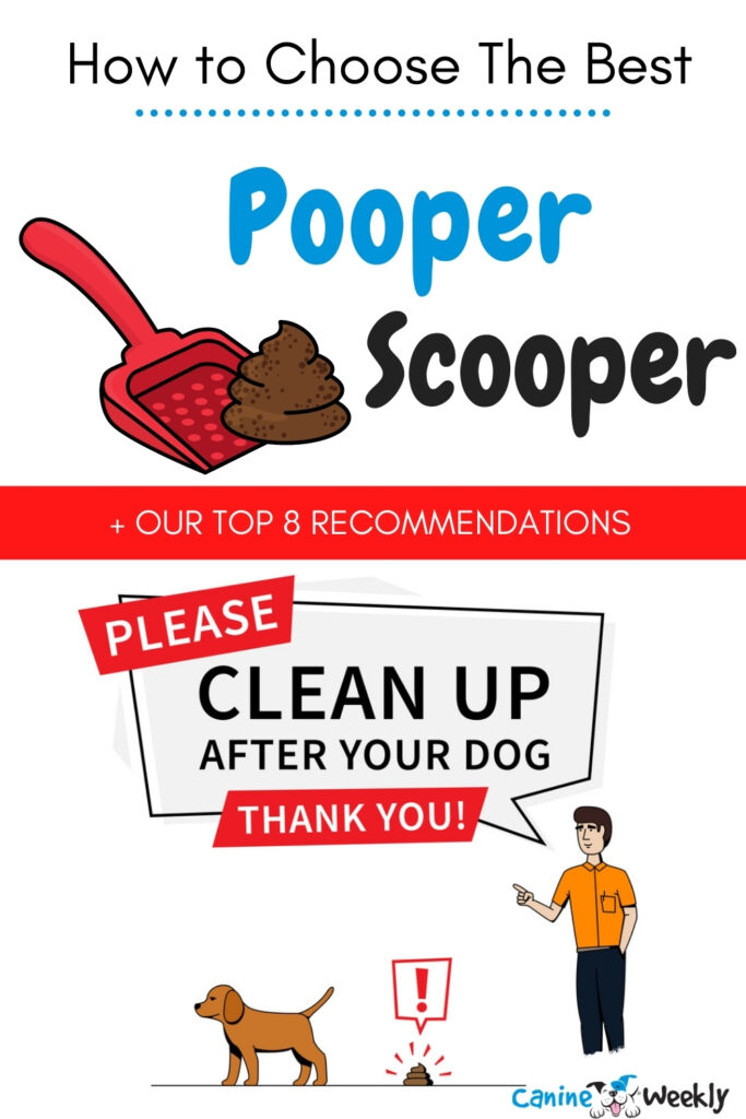 The Best Pooper Scooper Reviews and Buying Guide